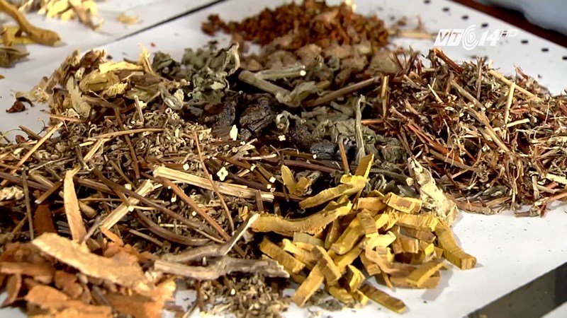 thuốc nam điều trị phì đại tuyến tiền liệt